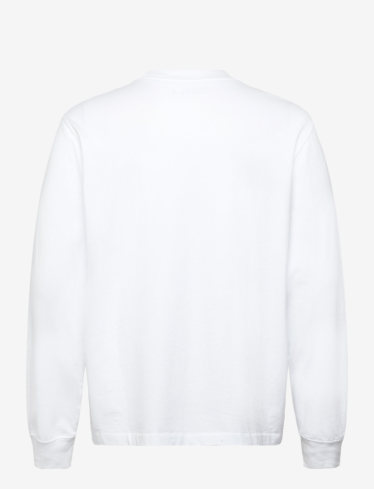 Abercrombie & Fitch - LONG SLEEVE PREMIUM HEAVY WEIGHT TEE - kollektionen - 100 - 1
