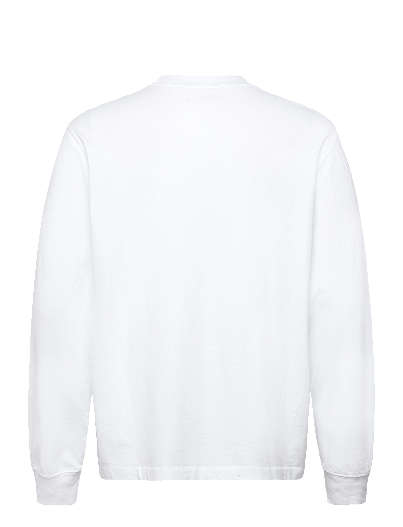 Abercrombie & Fitch - LONG SLEEVE PREMIUM HEAVY WEIGHT TEE - kollektionen - 100 - 1