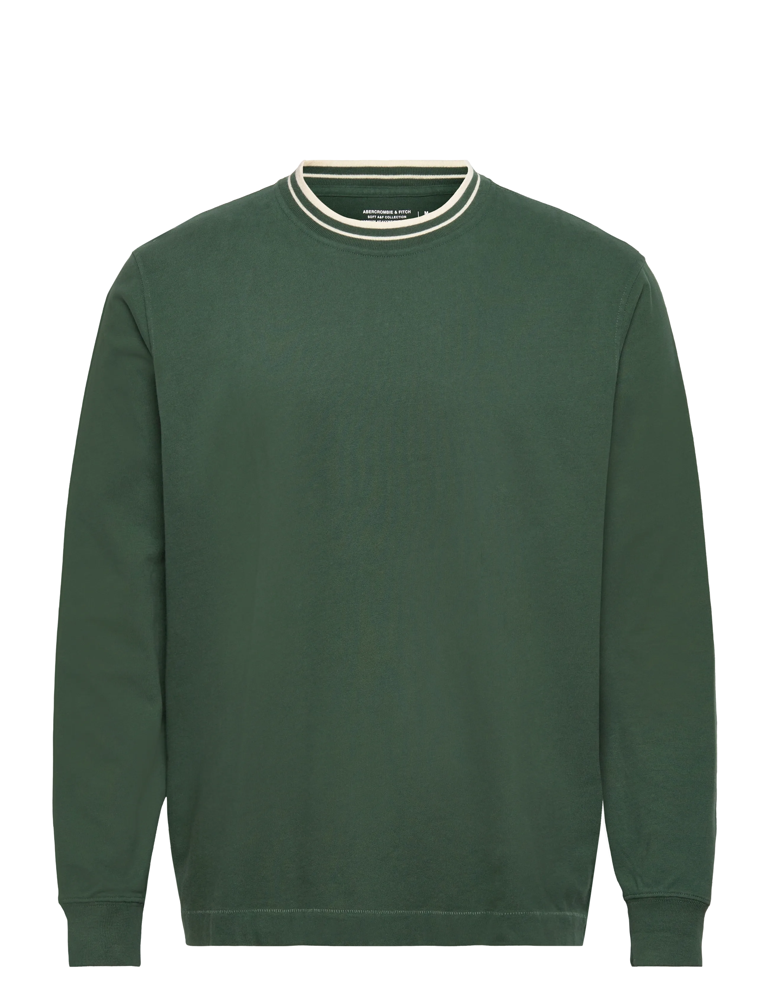 Abercrombie & Fitch LONG SLEEVE PREMIUM HEAVY WEIGHT TEE - Sweatshirts - 305 / green