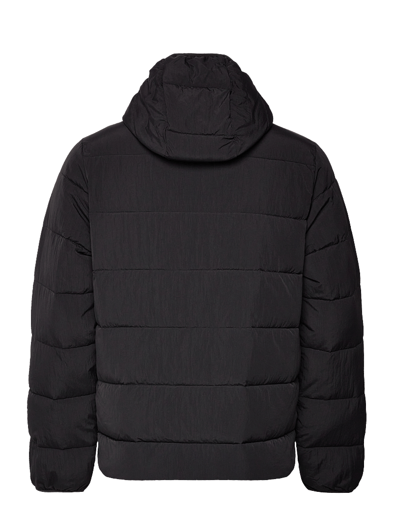 Abercrombie Fitch Anf Mens Outerwear 110 Buy Padded jackets