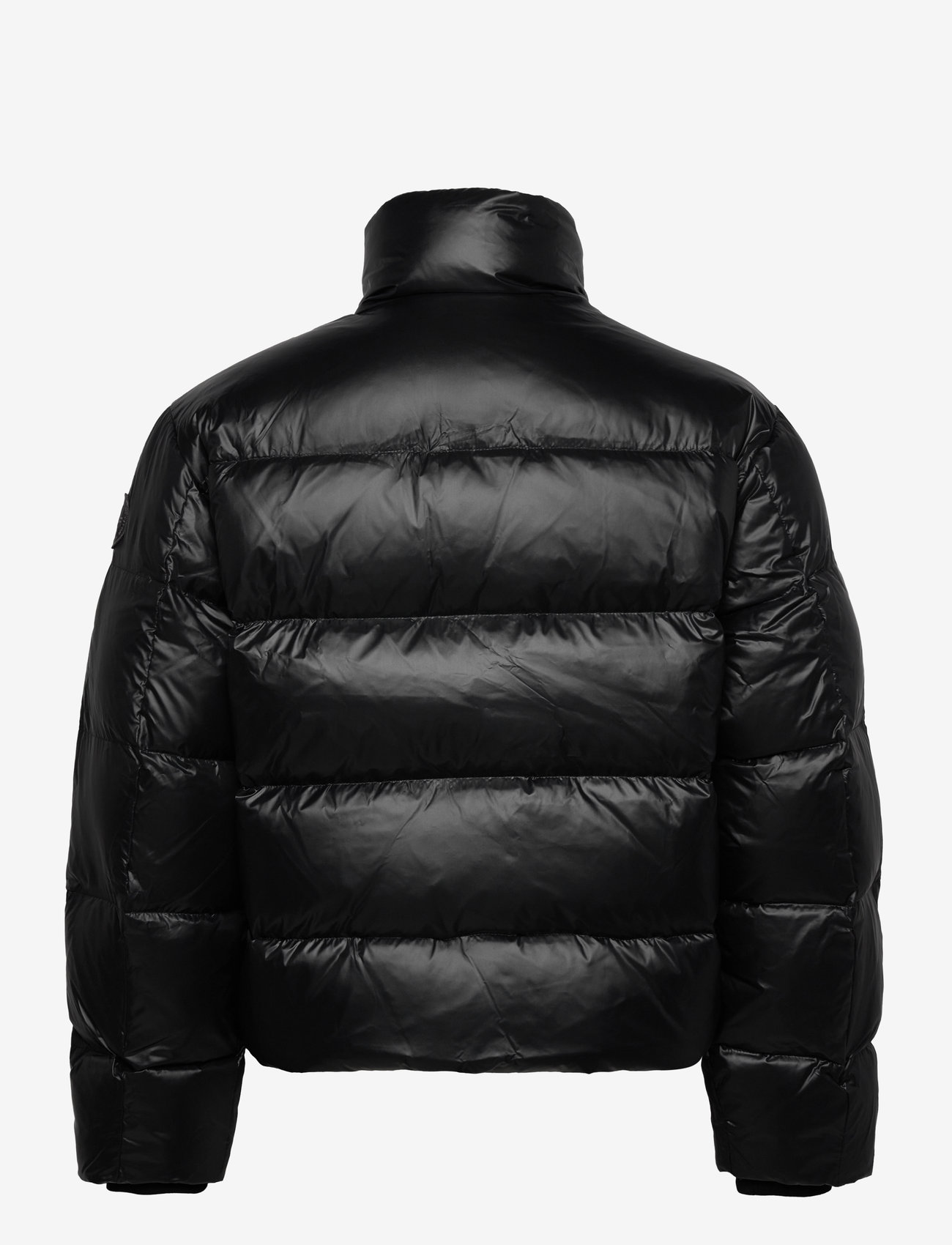 Abercrombie & Fitch - ANF MENS OUTERWEAR - winterjacken - black - cire - 1