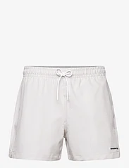 Abercrombie & Fitch - ANF MENS SWIM - shorts - dove gingham update - 0
