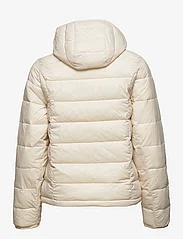 Abercrombie & Fitch - ANF WOMENS OUTERWEAR - winter jackets - birch - 1