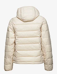 Abercrombie & Fitch - ANF WOMENS OUTERWEAR - sulejoped ja voodriga joped - birch - 1