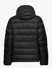 Abercrombie & Fitch - ANF WOMENS OUTERWEAR - winter jackets - black - 1