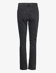 Abercrombie & Fitch - ANF WOMENS JEANS - džinsa bikses ar tievām starām - black - 1
