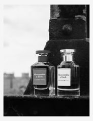 Abercrombie & Fitch - Authentic Women EdP - eau de parfum - no color - 3