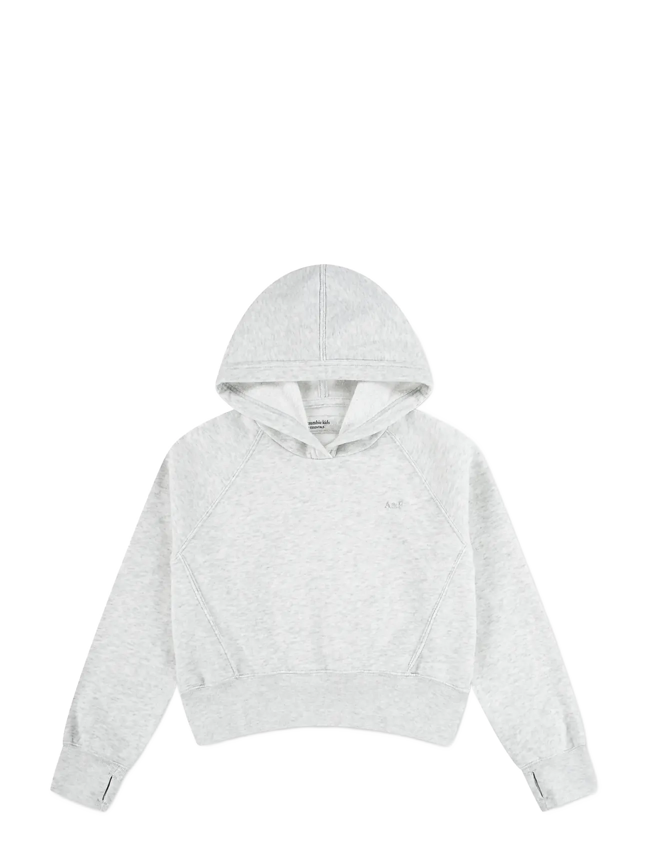 Abercrombie Kids PO-PULL-OVER HOODY - Tagasi kooli - ANF LIGHT GREY HEATHER / grey