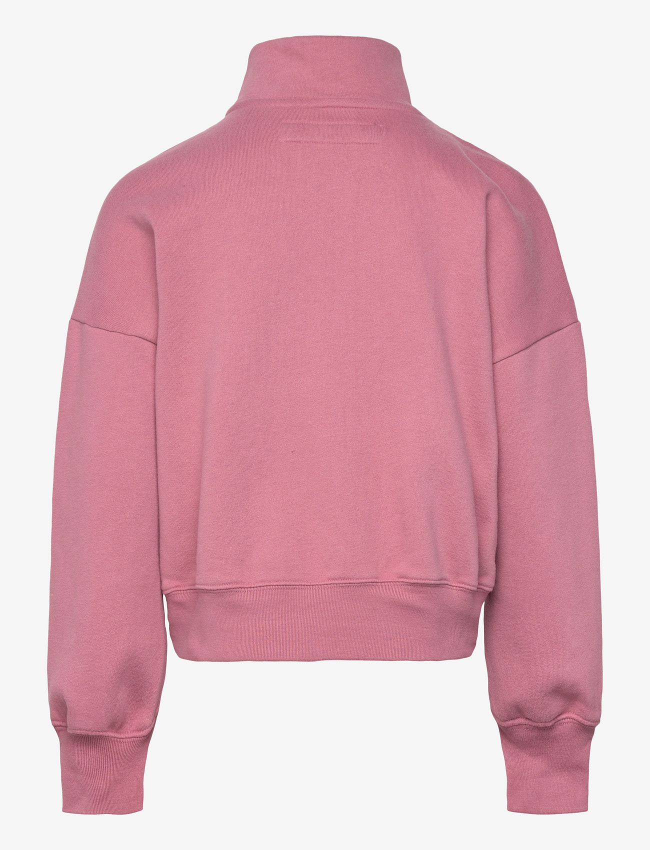 Abercrombie Kids - HZ-1/2 ZIP TOP - sweatshirts - mesa rose - 1