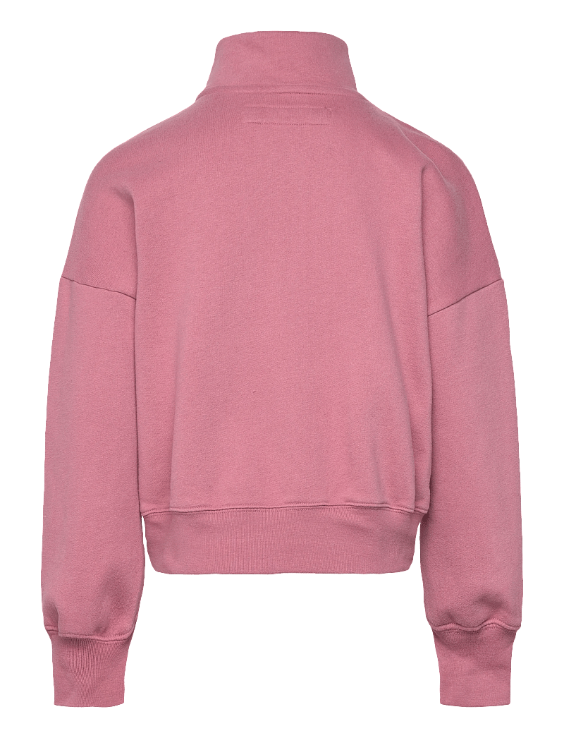 Abercrombie Kids - HZ-1/2 ZIP TOP - sweatshirts - mesa rose - 1