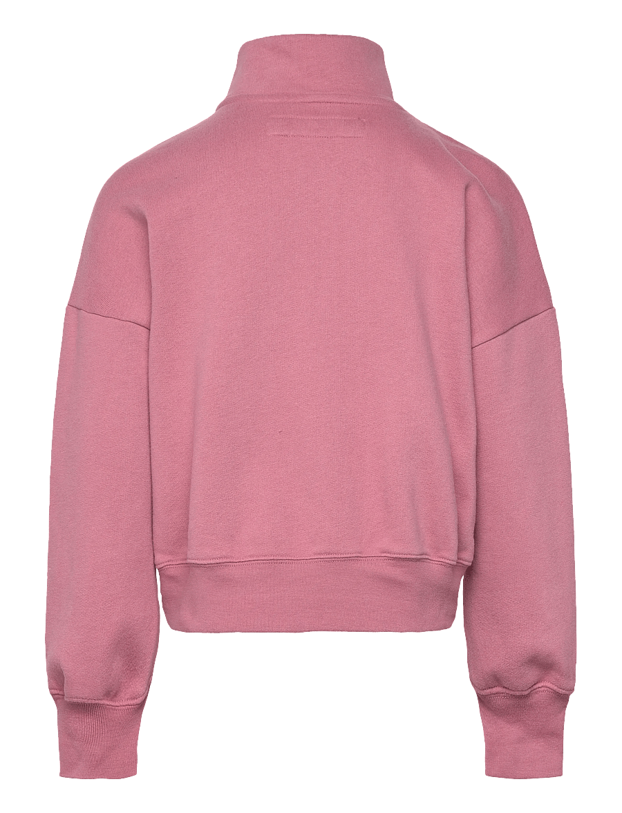 Abercrombie Kids - HZ-1/2 ZIP TOP - sweatshirts - mesa rose - 1