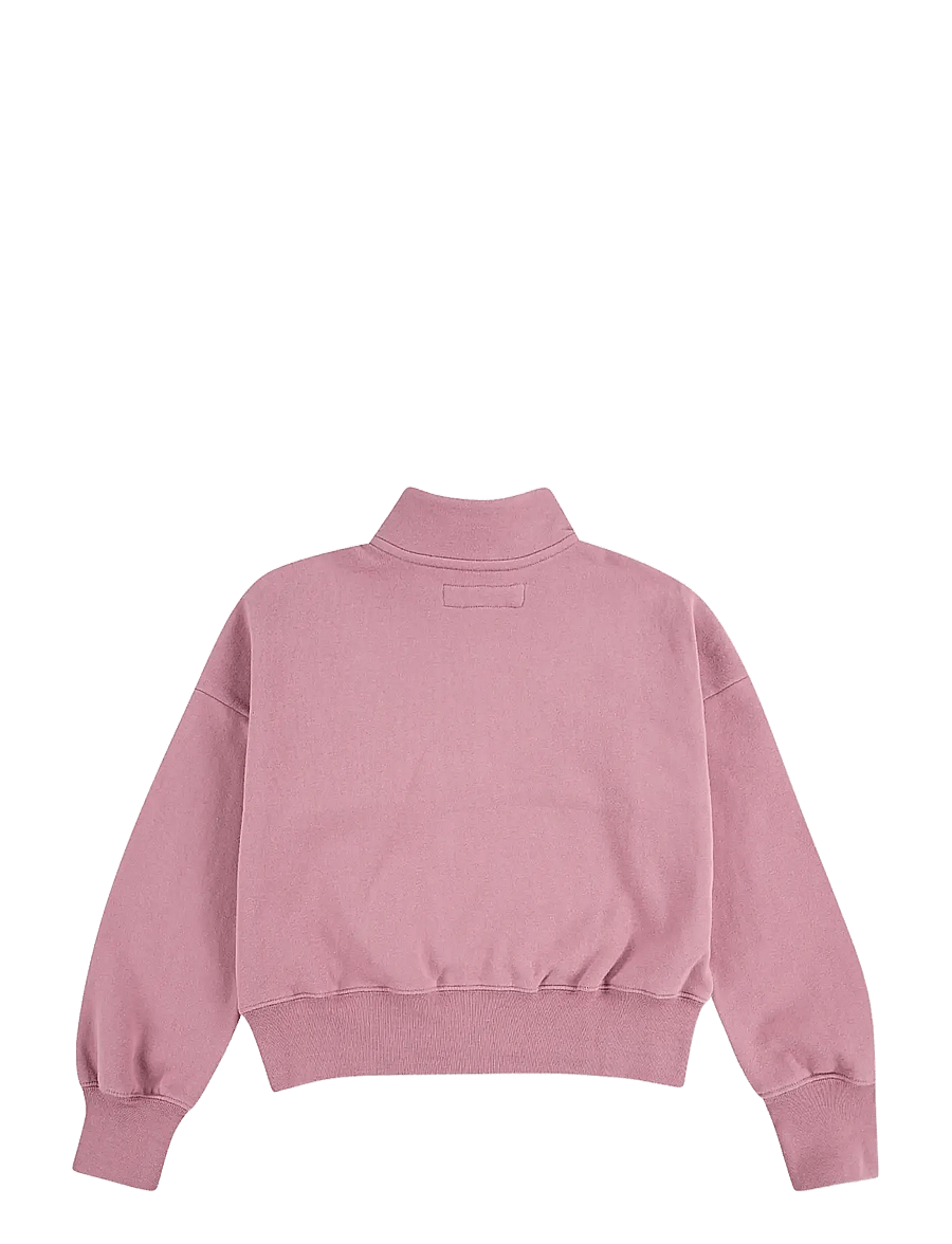 Abercrombie Kids - HZ-1/2 ZIP TOP - sweatshirts - mesa rose - 2