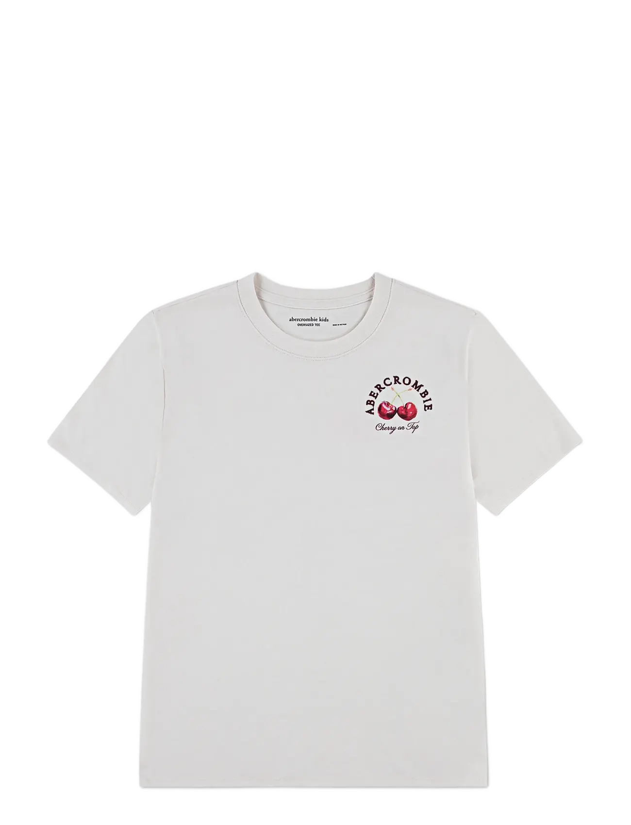 Abercrombie Kids TE-S/S TEE - Tagasi kooli - JET STREAM / white