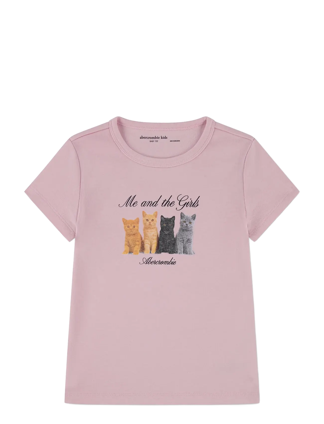 Abercrombie Kids TE-S/S TEE - Tagasi kooli - CHALKPINK / pink/rose