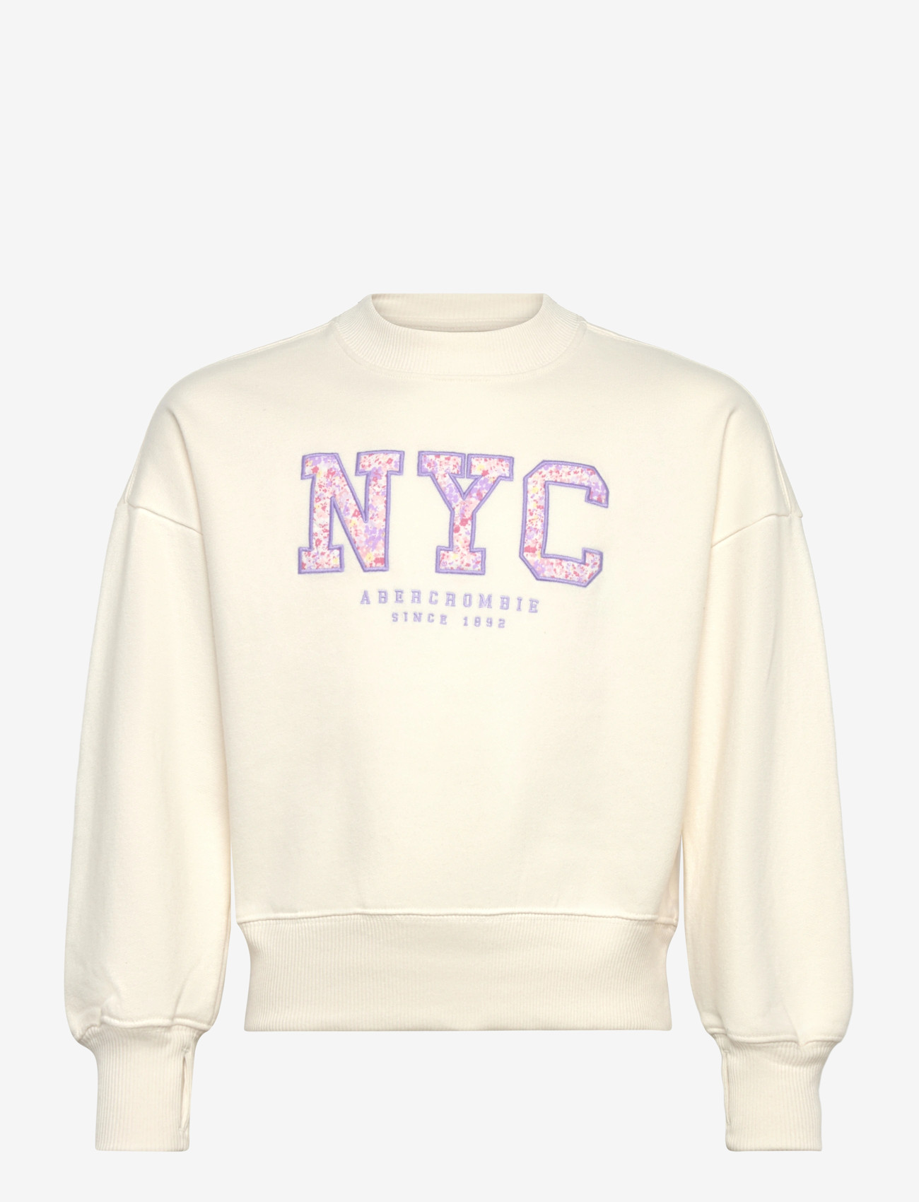 Abercrombie Kids - FW-CREW - sweatshirts - jet stream - 0