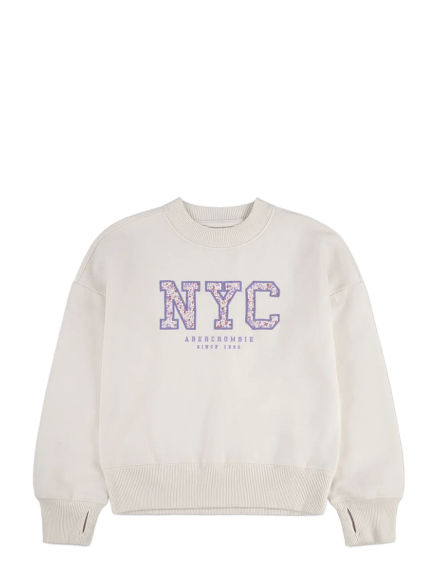 Abercrombie Kids - FW-CREW - sweatshirts - jet stream - 0