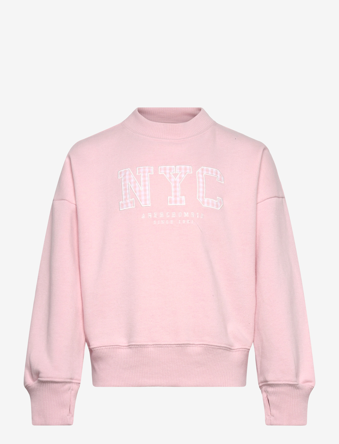 Abercrombie Kids - FW-CREW - sweatshirts - chalkpink - 0