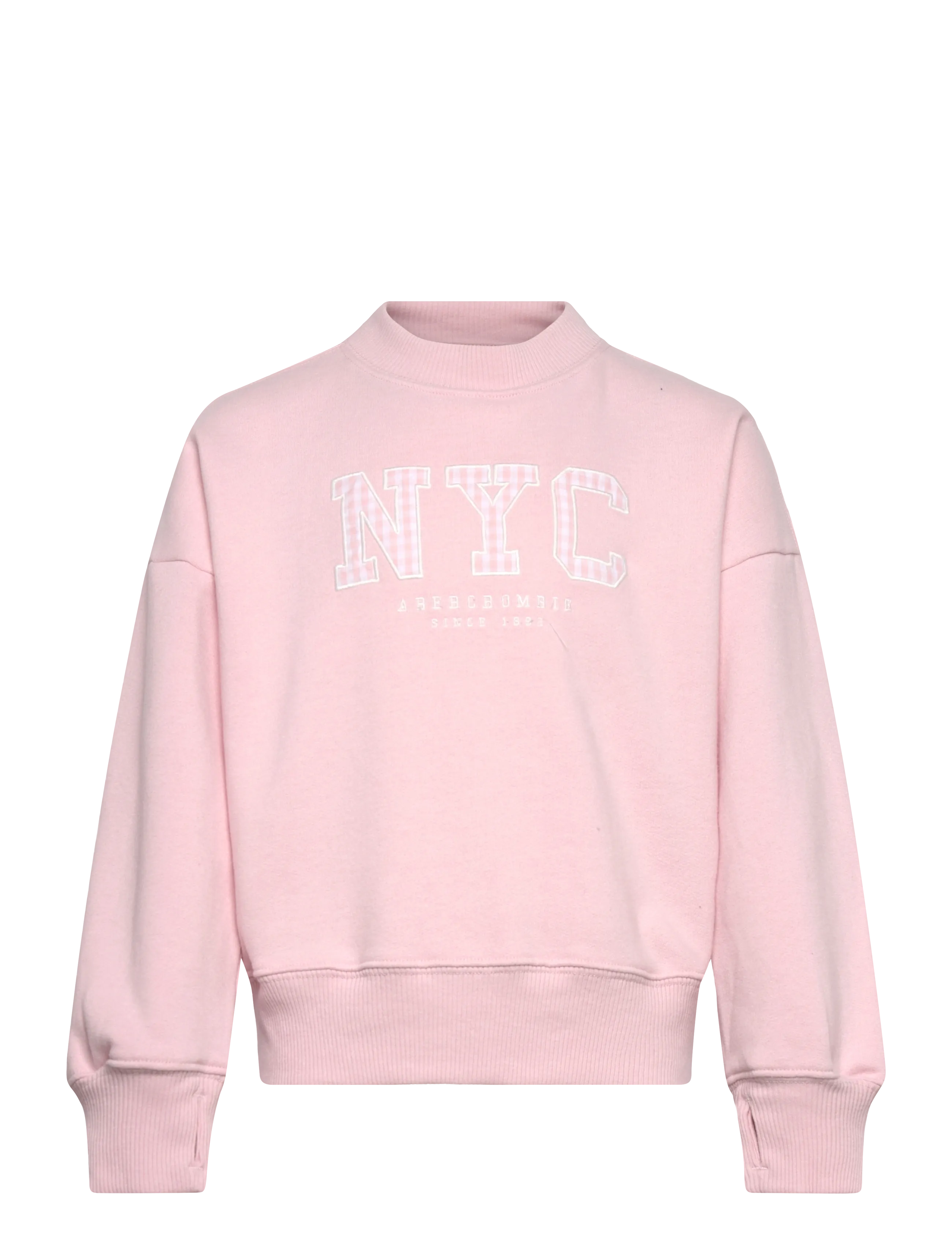 Abercrombie Kids FW-CREW - Børn 98-134 - CHALKPINK / pink/rose