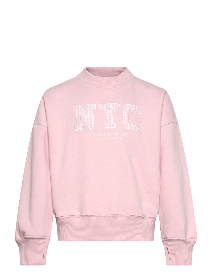 Abercrombie Kids - FW-CREW - sweatshirts - chalkpink - 0