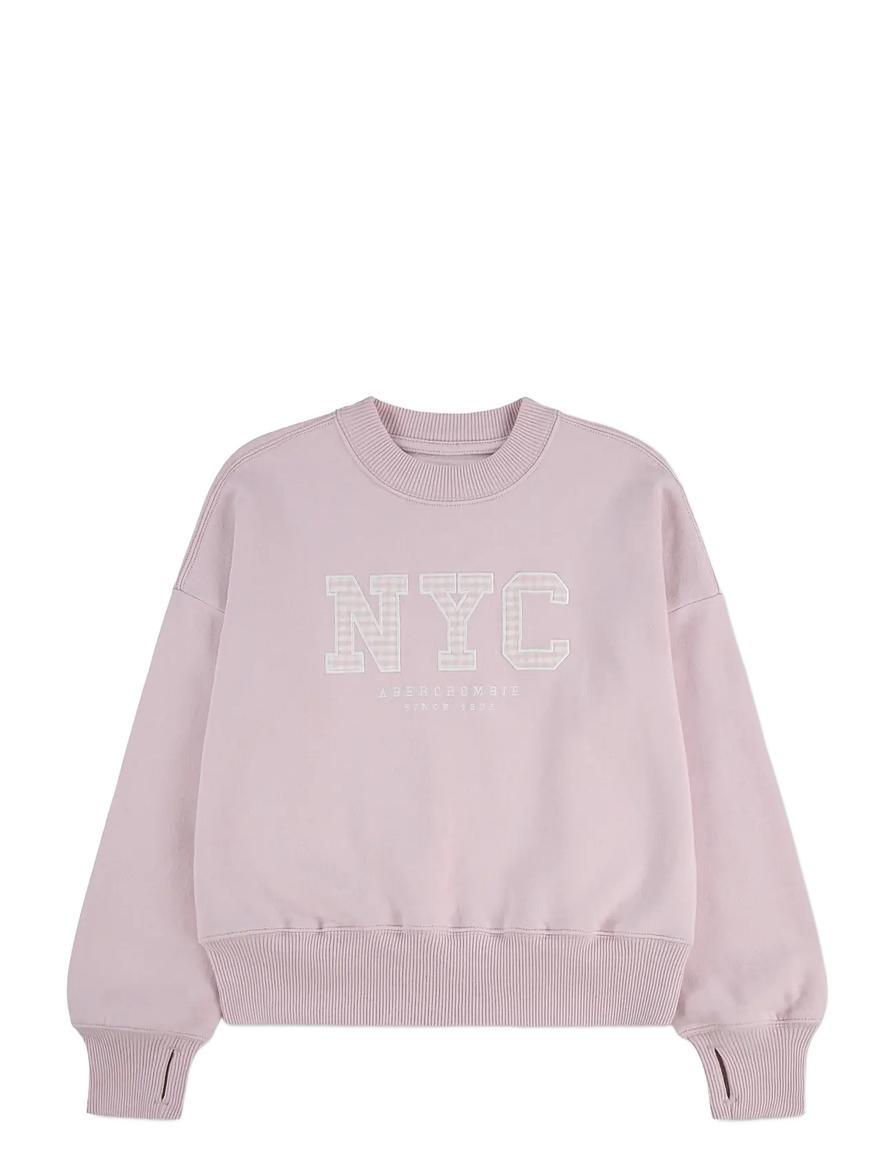 Abercrombie Kids FW-CREW - Tagasi kooli - CHALKPINK / pink/rose