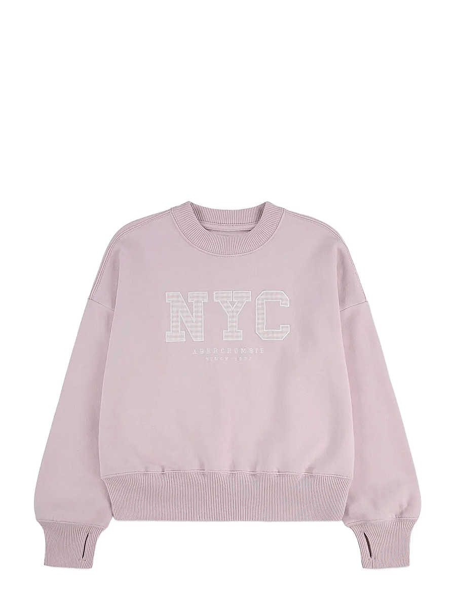 Abercrombie Kids - FW-CREW - sweatshirts - chalkpink - 0