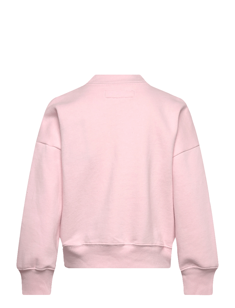 Abercrombie Kids - FW-CREW - sweatshirts - chalkpink - 1
