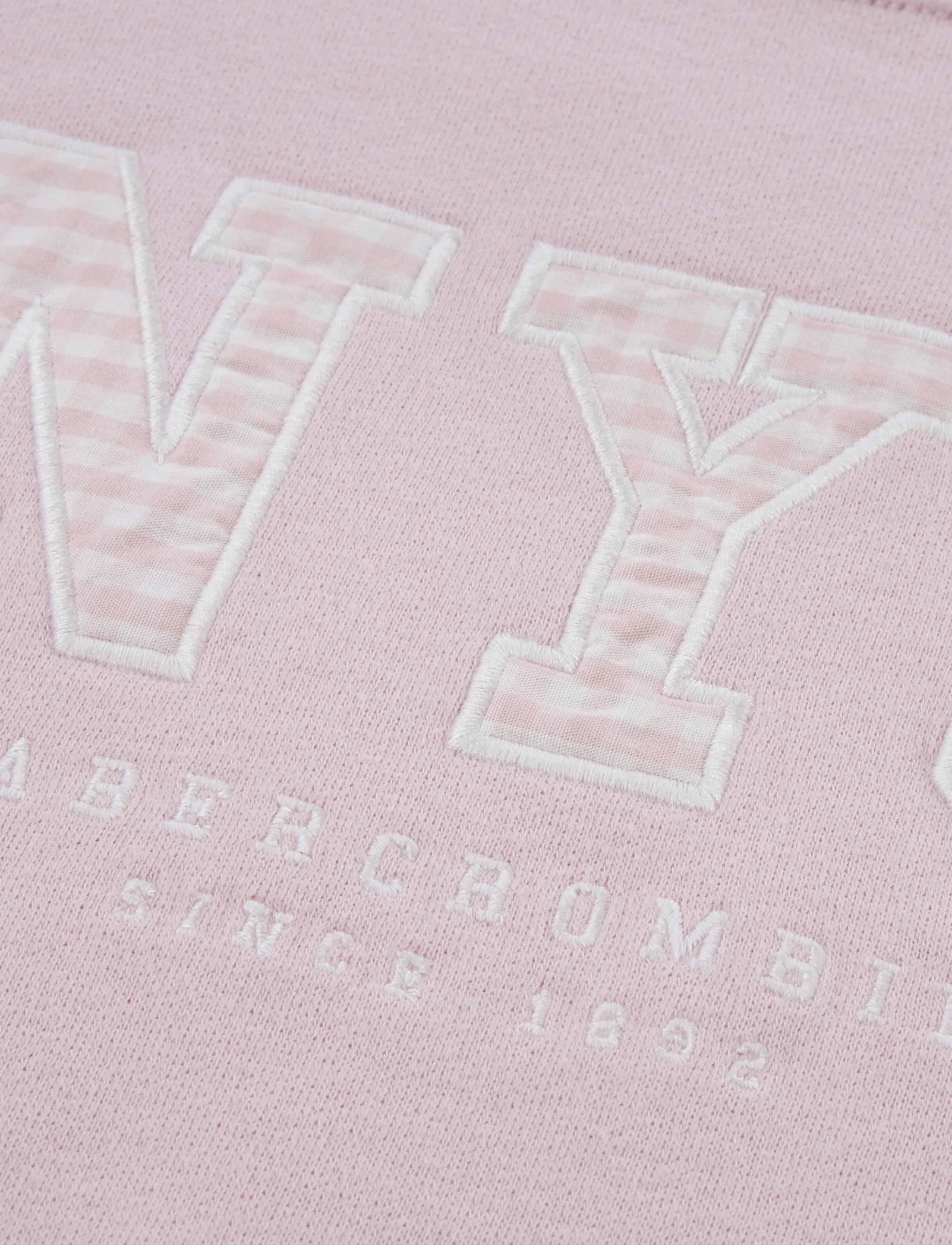 Abercrombie Kids - FW-CREW - sweatshirts - chalkpink - 2