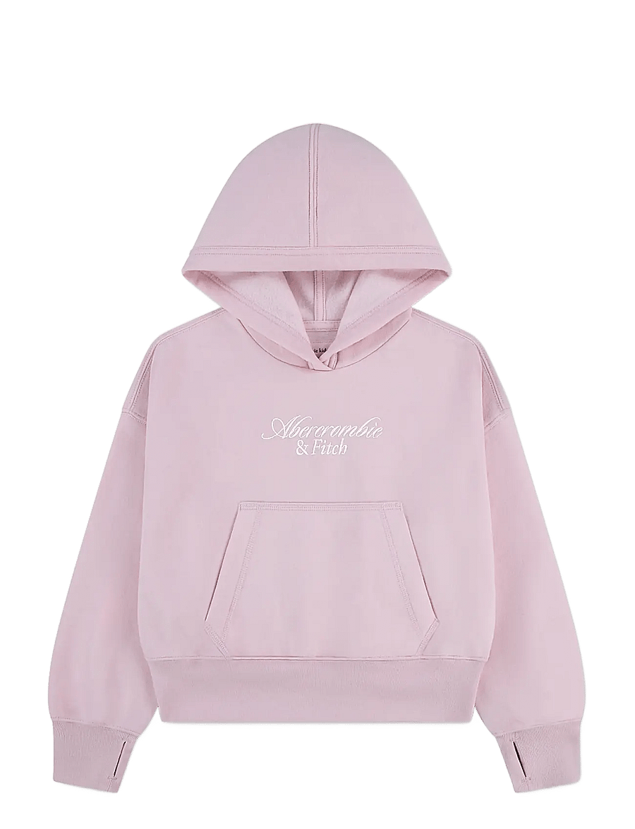 Abercrombie Kids - PO-PULL-OVER HOODY - kapuzenpullover - chalkpink - 0