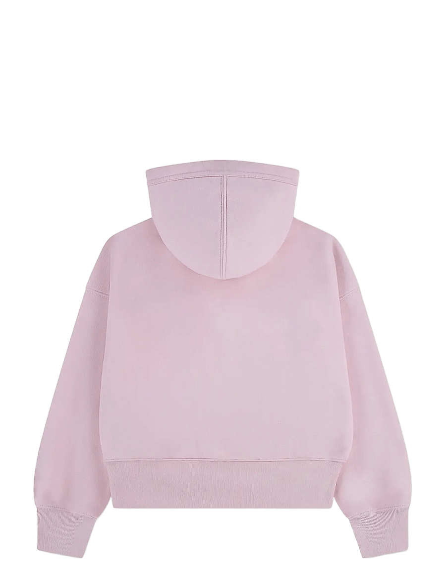 Abercrombie Kids - PO-PULL-OVER HOODY - kapuzenpullover - chalkpink - 1