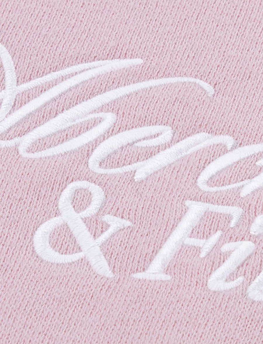 Abercrombie Kids - PO-PULL-OVER HOODY - kapuzenpullover - chalkpink - 2