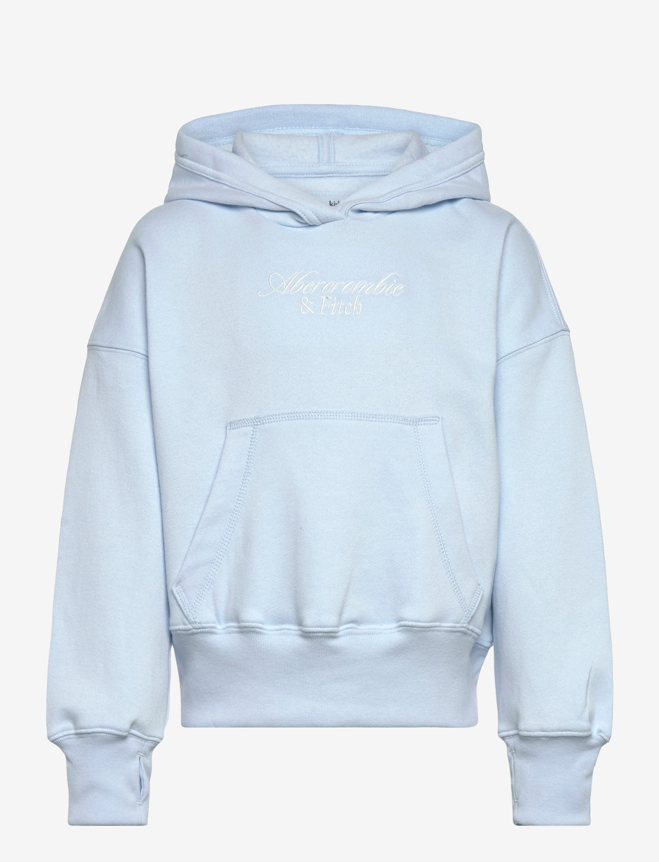 Abercrombie Kids - PO-PULL-OVER HOODY - kapuzenpullover - ice water - 0