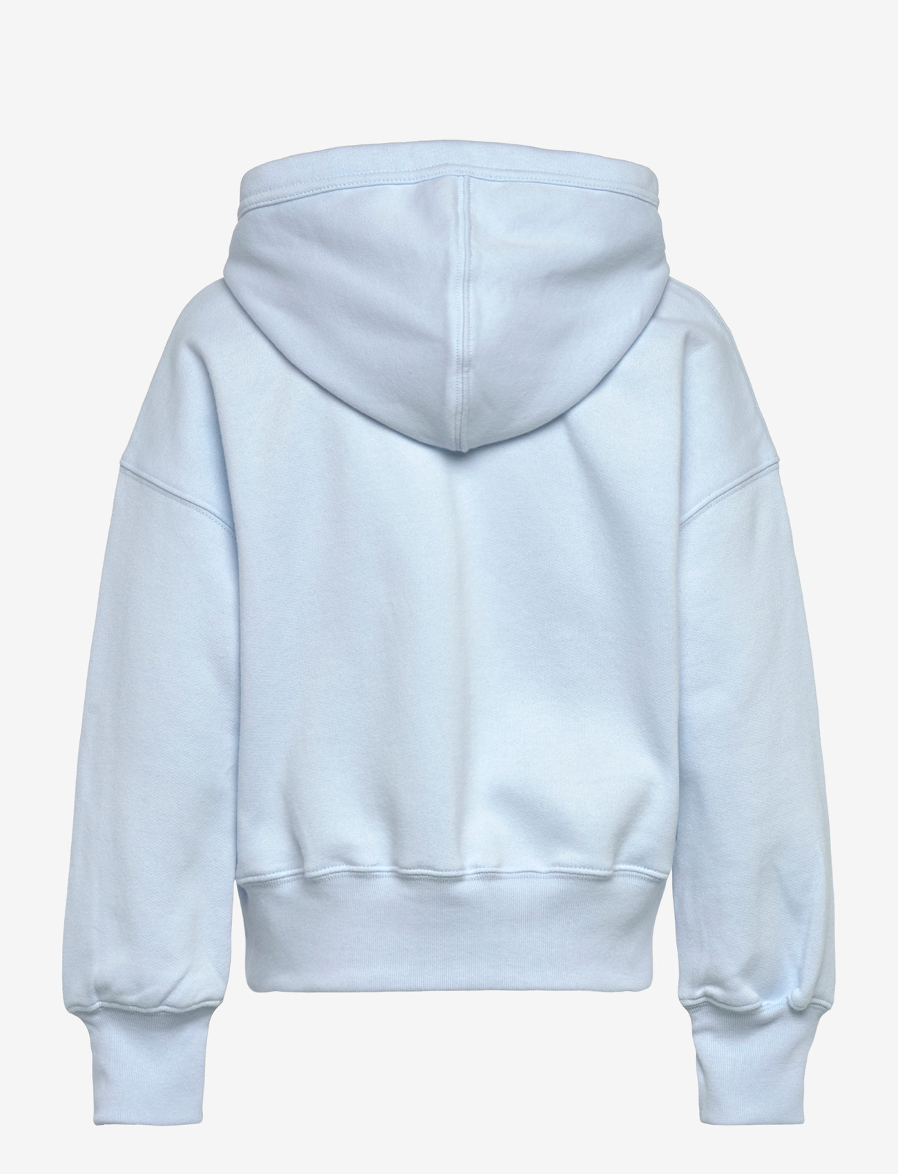 Abercrombie Kids - PO-PULL-OVER HOODY - kapuzenpullover - ice water - 1