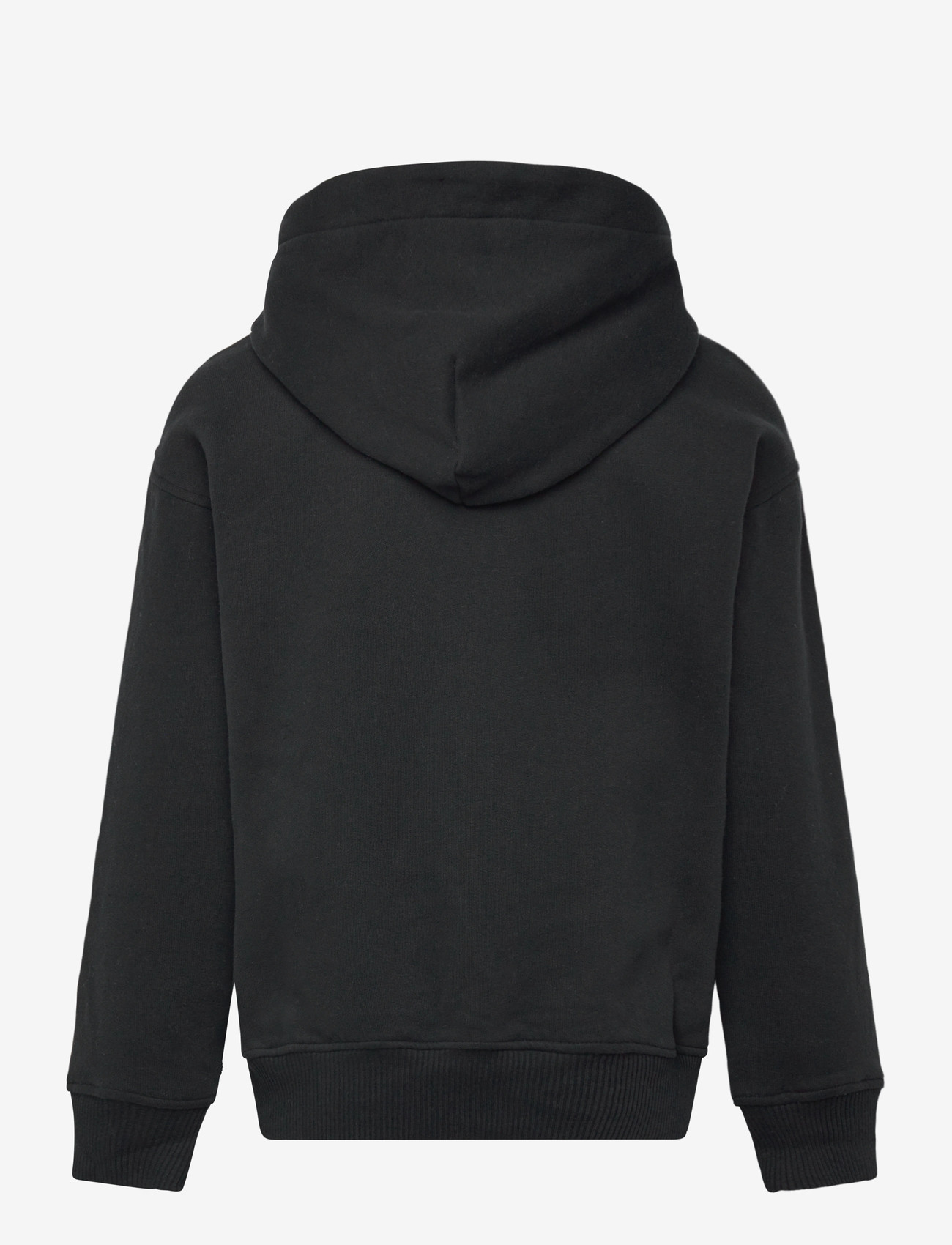 Abercrombie Kids - PO-PULL-OVER HOODY - kapuzenpullover - anf anthracite - 1