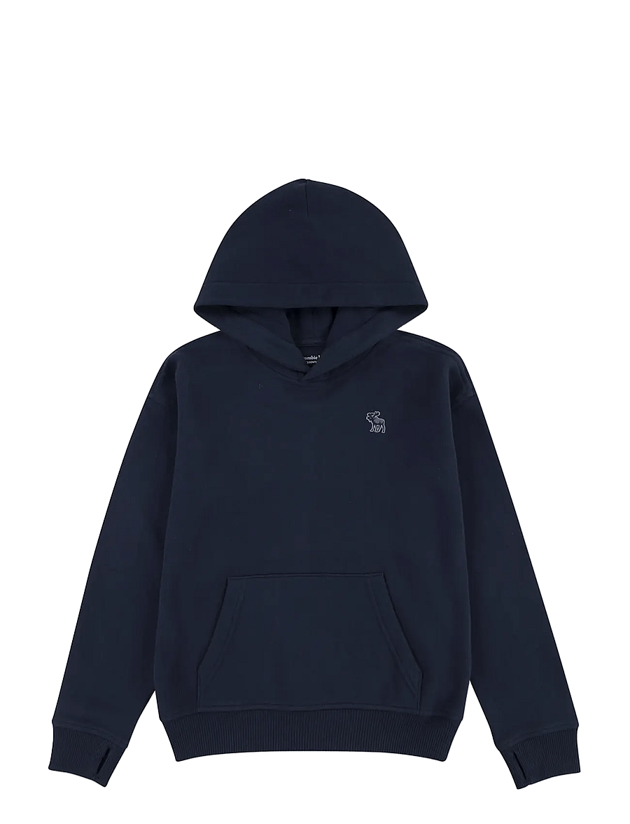 Abercrombie Kids - PO-PULL-OVER HOODY - kapuzenpullover - navy blazer - 0