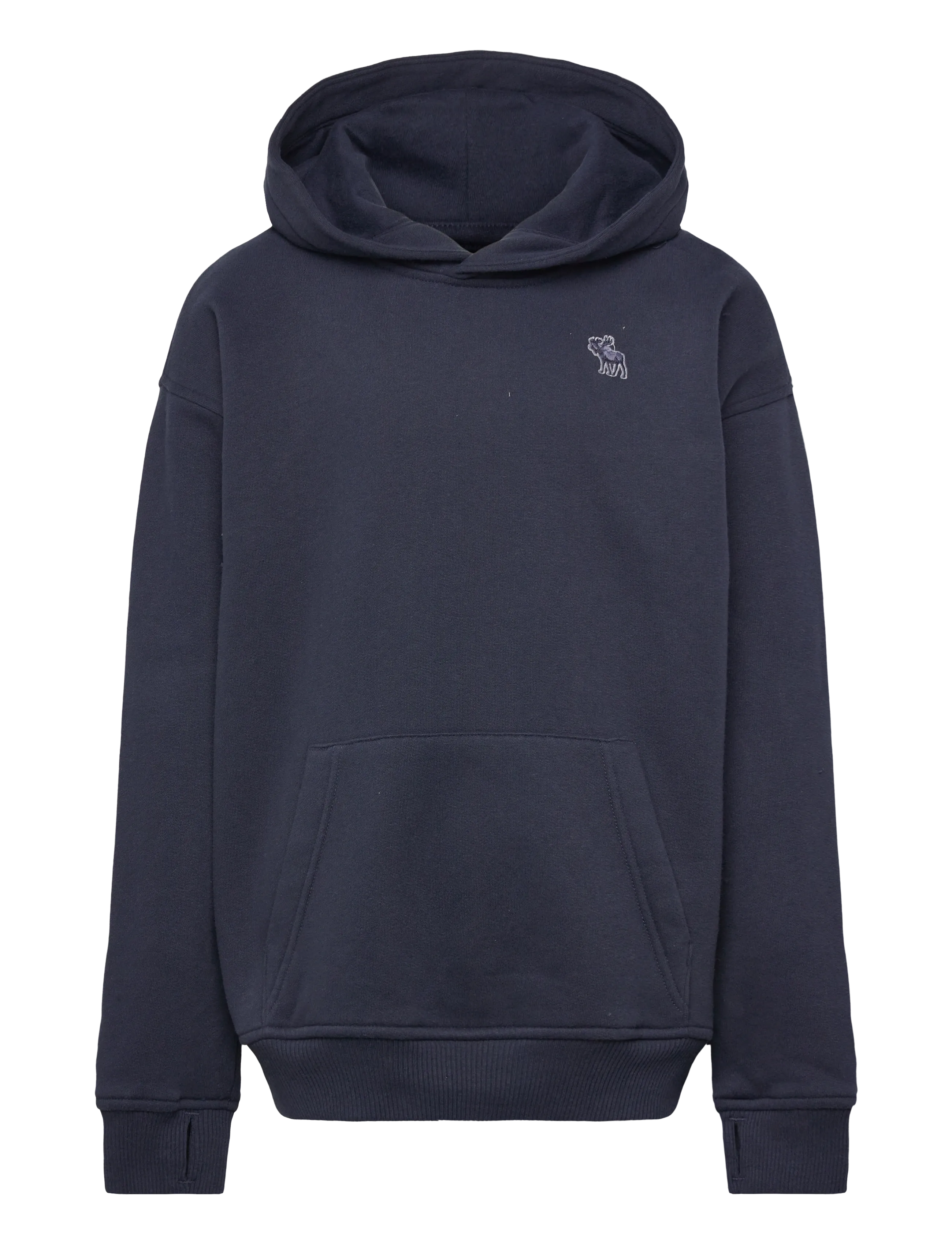 Abercrombie Kids PO-PULL-OVER HOODY - Riided - NAVY BLAZER / navy