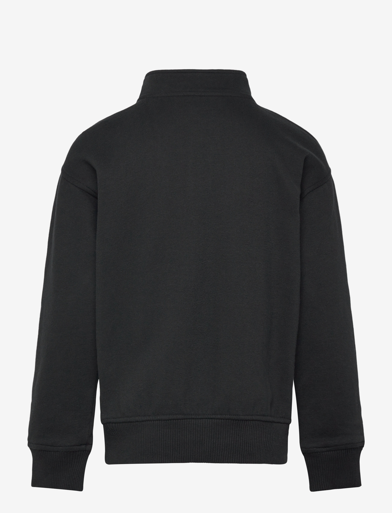 Abercrombie Kids - HZ-1/2 ZIP TOP - sweatshirts - anf anthracite - 1