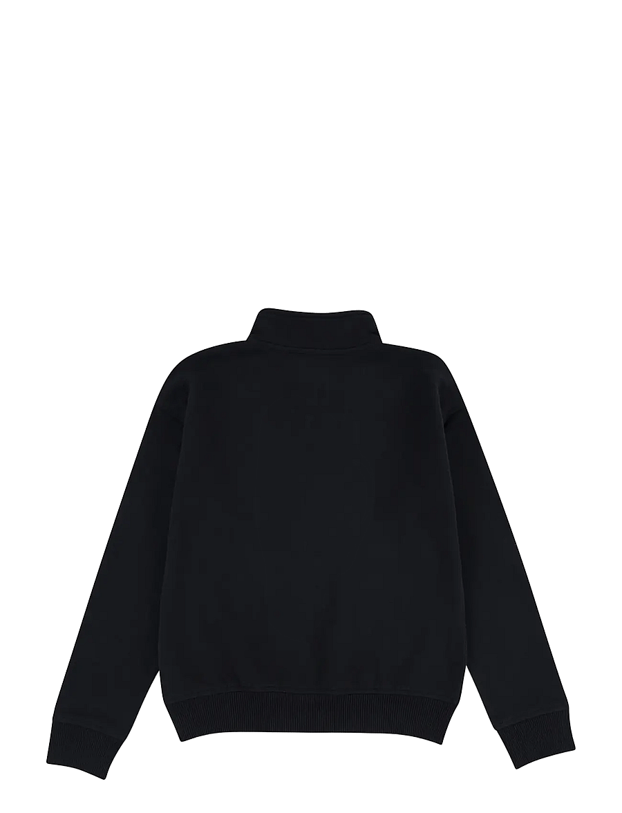 Abercrombie Kids - HZ-1/2 ZIP TOP - sweatshirts - anf anthracite - 2