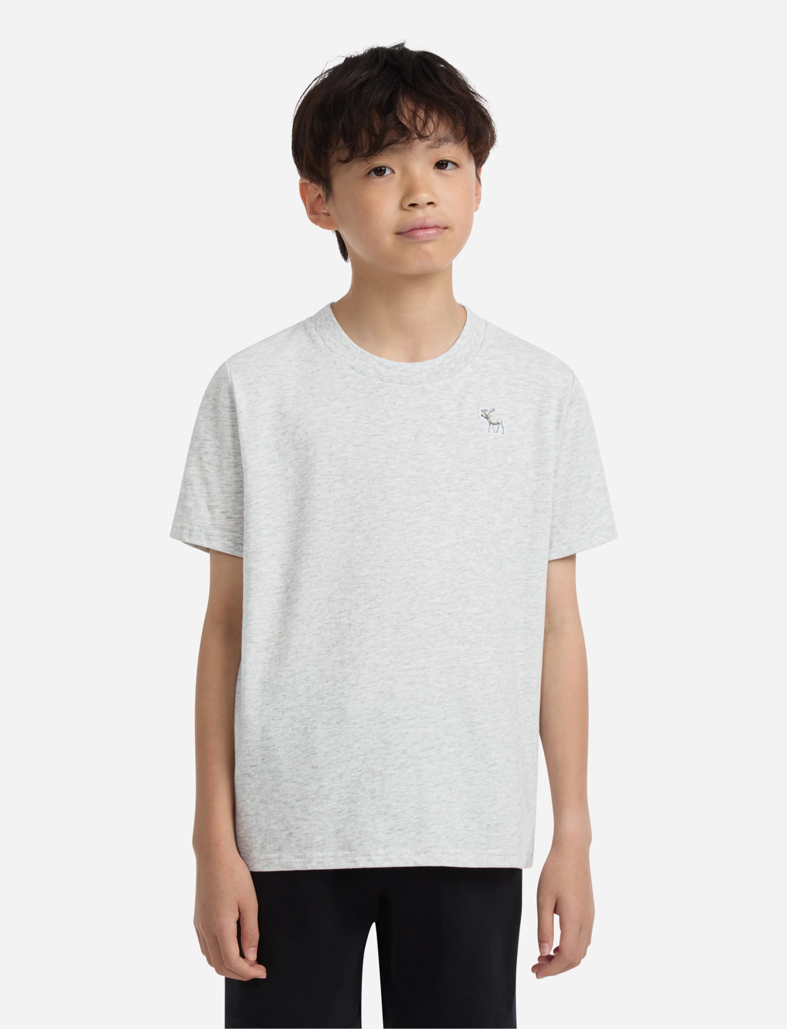 Abercrombie Kids TE-S/S TEE - Toppar & T-shirts - ANF LIGHT GREY HEATHER / grey