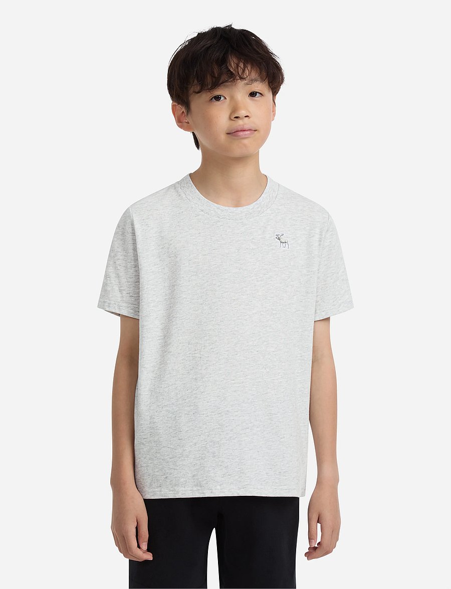 Abercrombie Kids - TE-S/S TEE - lühikeste varrukatega t-särgid - anf light grey heather - 0