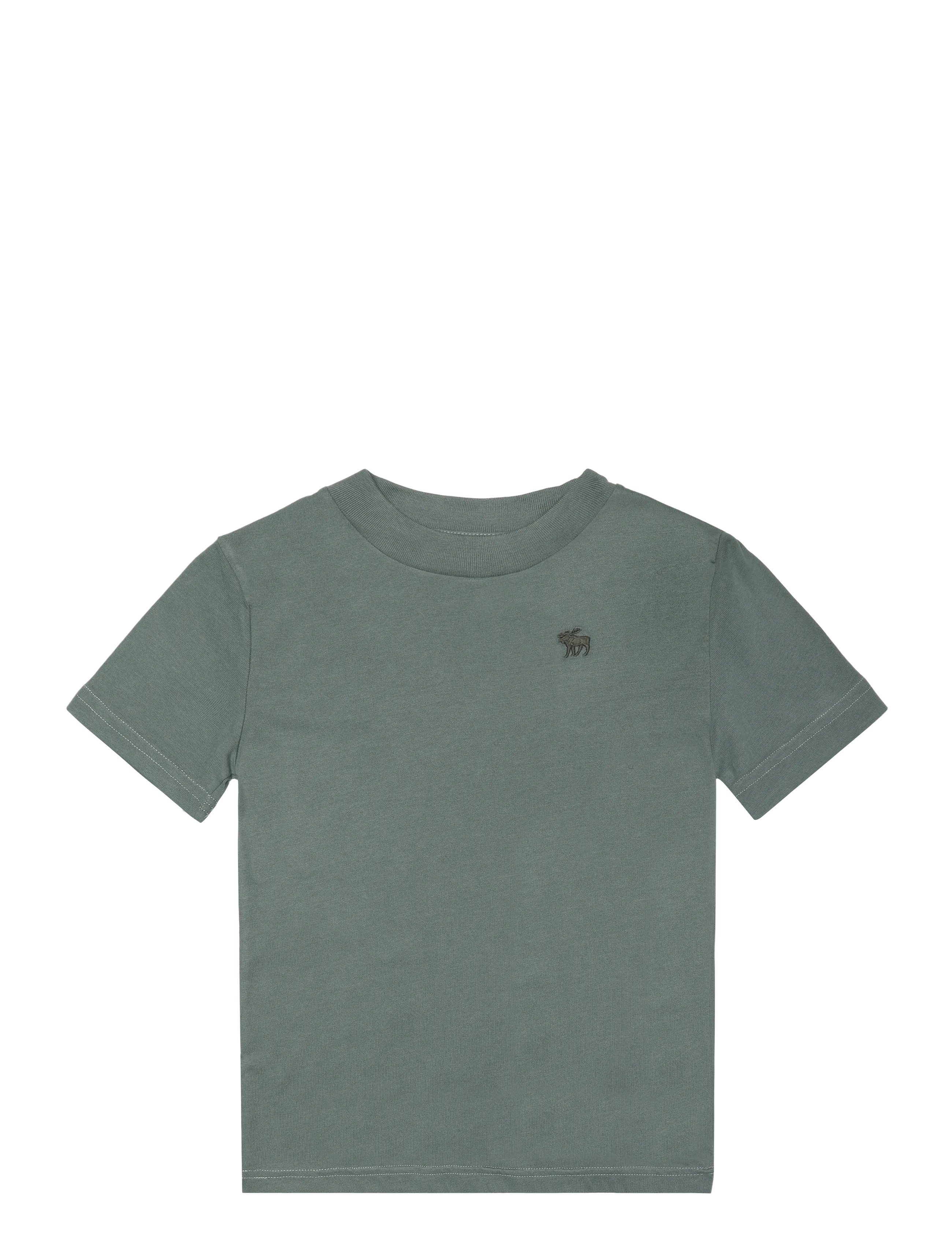 Abercrombie Kids TE-S/S TEE - Kurzärmelige - LAUREL WREATH / green