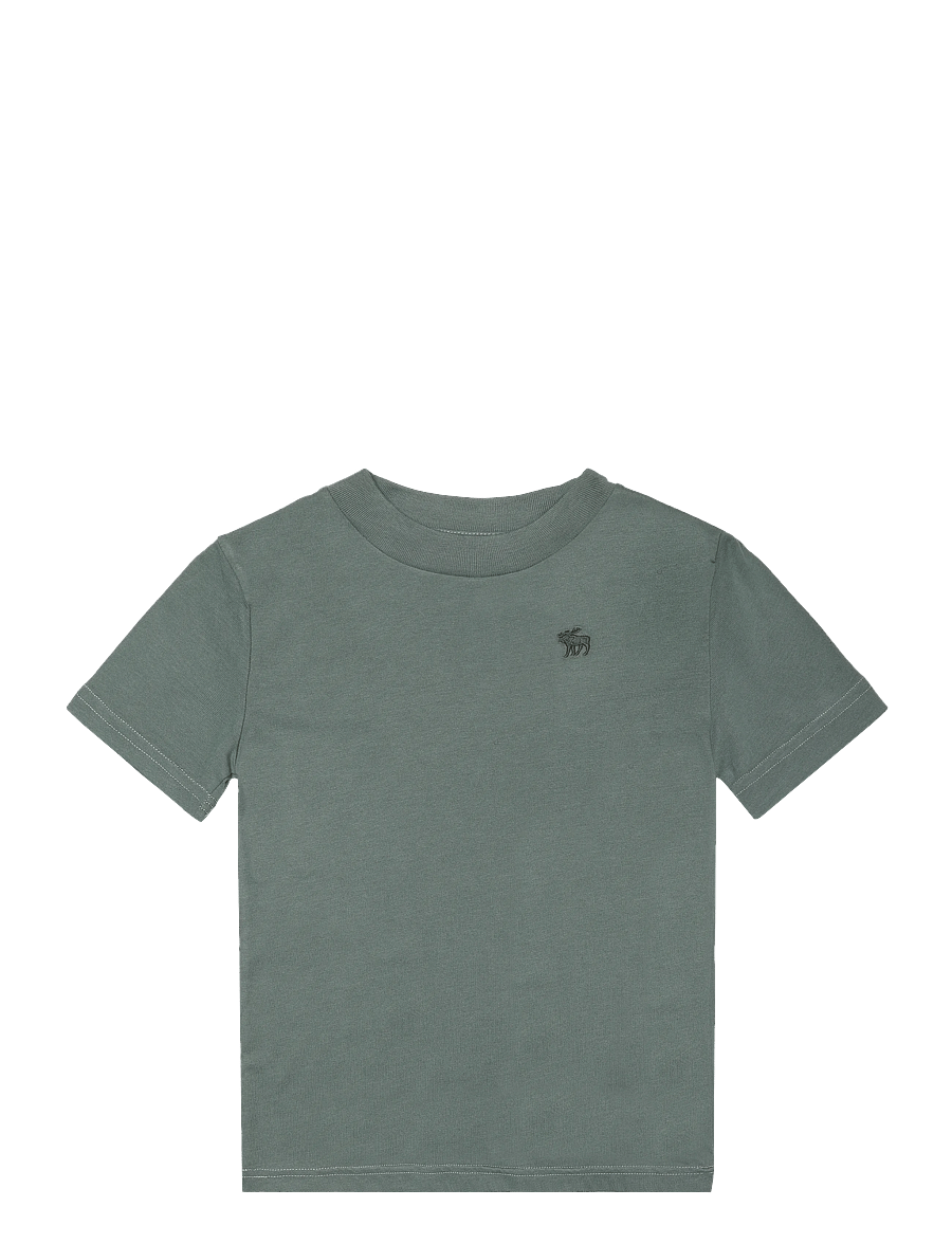 Abercrombie Kids - TE-S/S TEE - lühikeste varrukatega t-särgid - laurel wreath - 0
