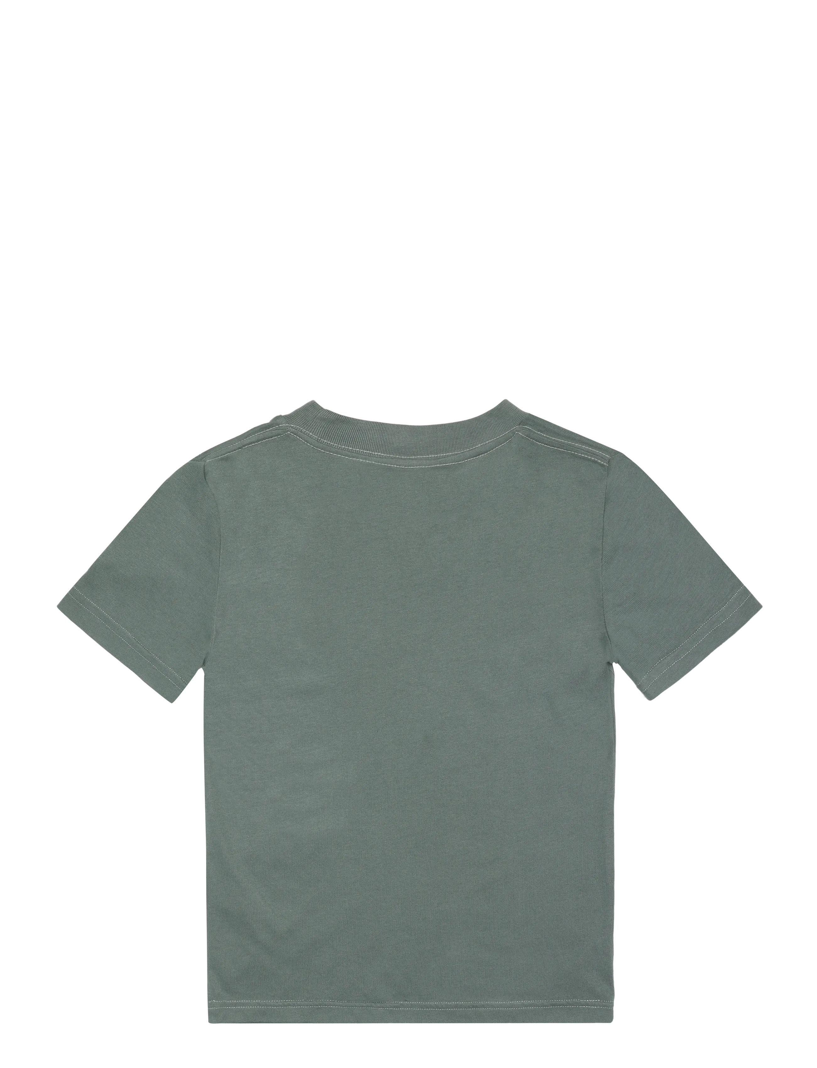Abercrombie Kids - TE-S/S TEE - kurzärmelige - laurel wreath - 1