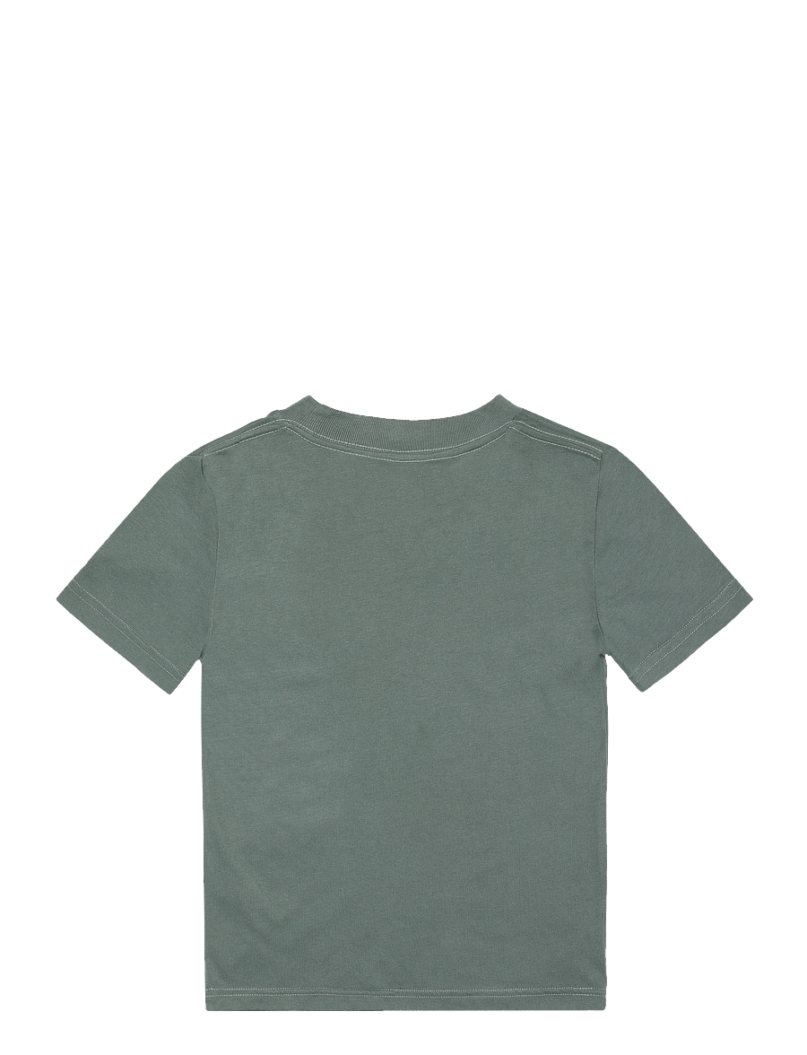 Abercrombie Kids - TE-S/S TEE - lühikeste varrukatega t-särgid - laurel wreath - 1