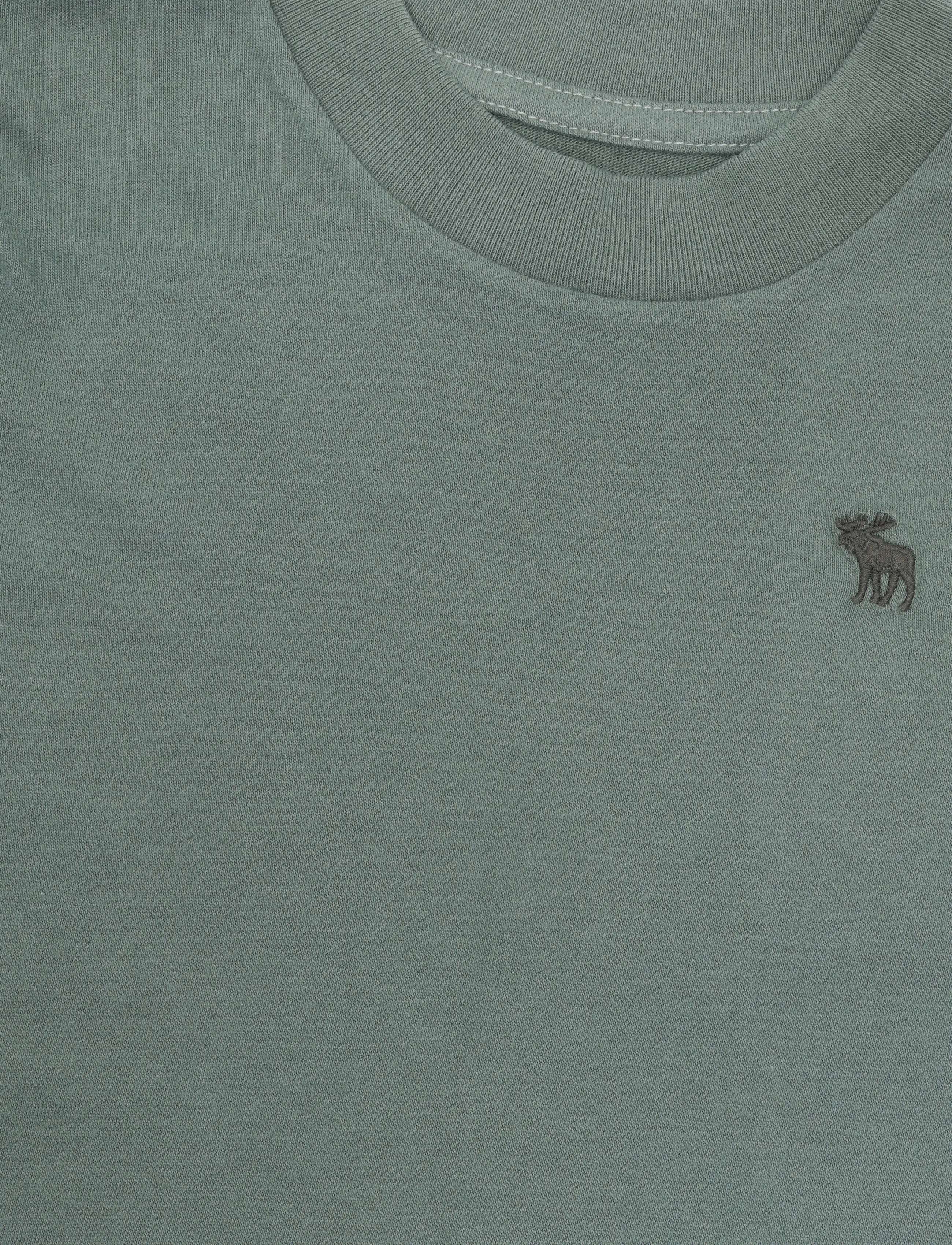Abercrombie Kids - TE-S/S TEE - kurzärmelige - laurel wreath - 2