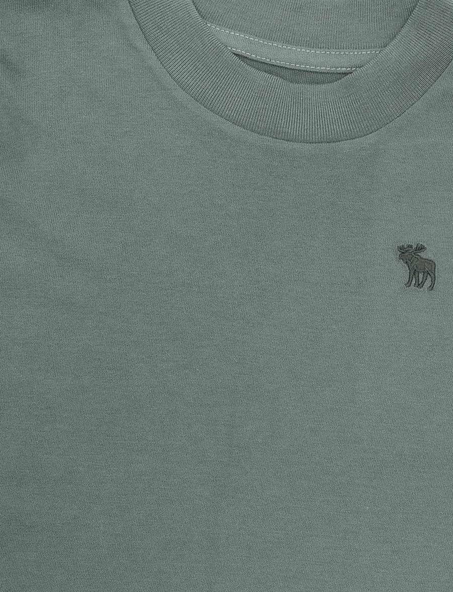 Abercrombie Kids - TE-S/S TEE - lühikeste varrukatega t-särgid - laurel wreath - 2