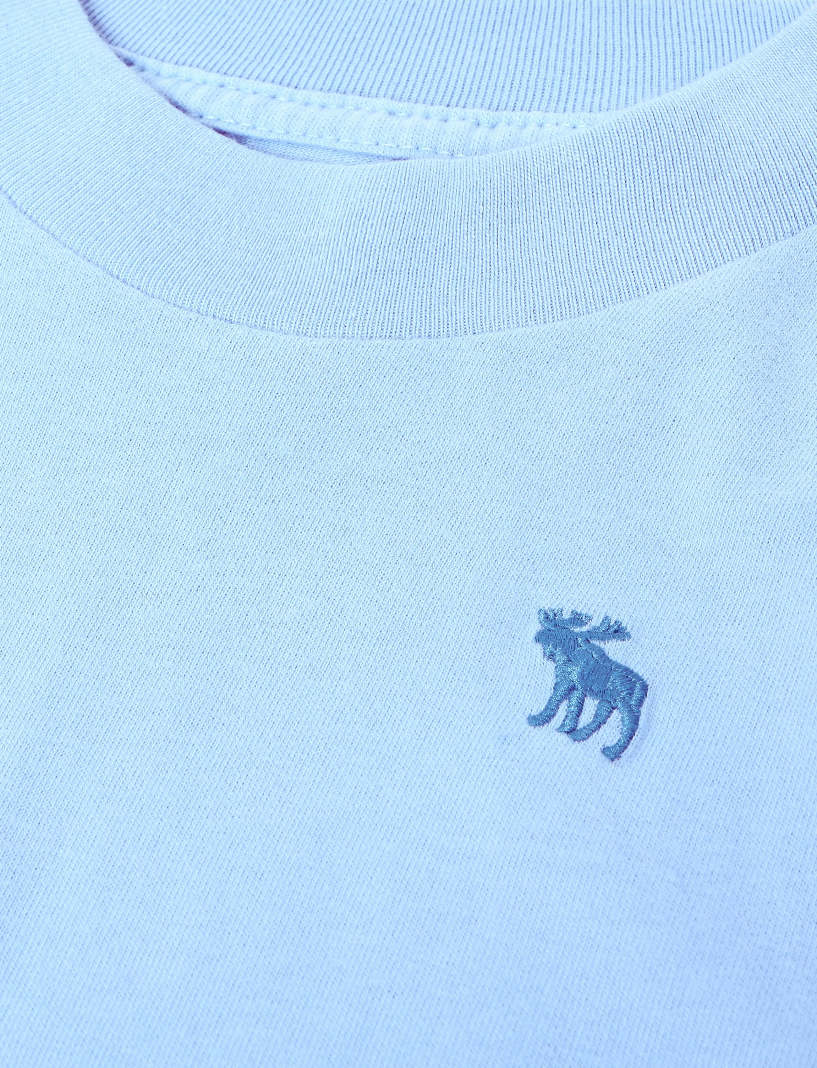 Abercrombie Kids - TE-S/S TEE - kortärmade t-shirts - placid blue - 2