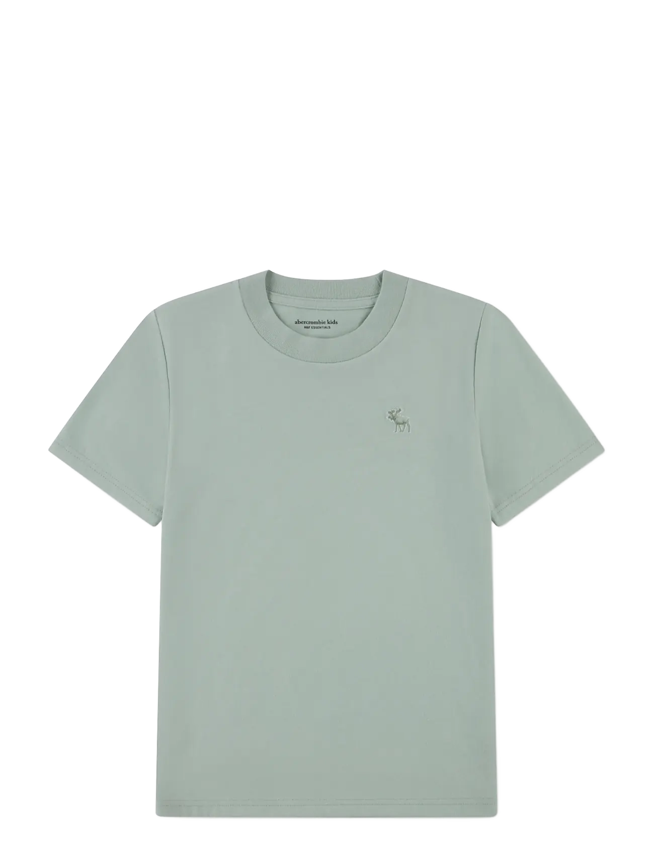 Abercrombie Kids TE-S/S TEE - Kurzärmelige - SILT GREEN / green