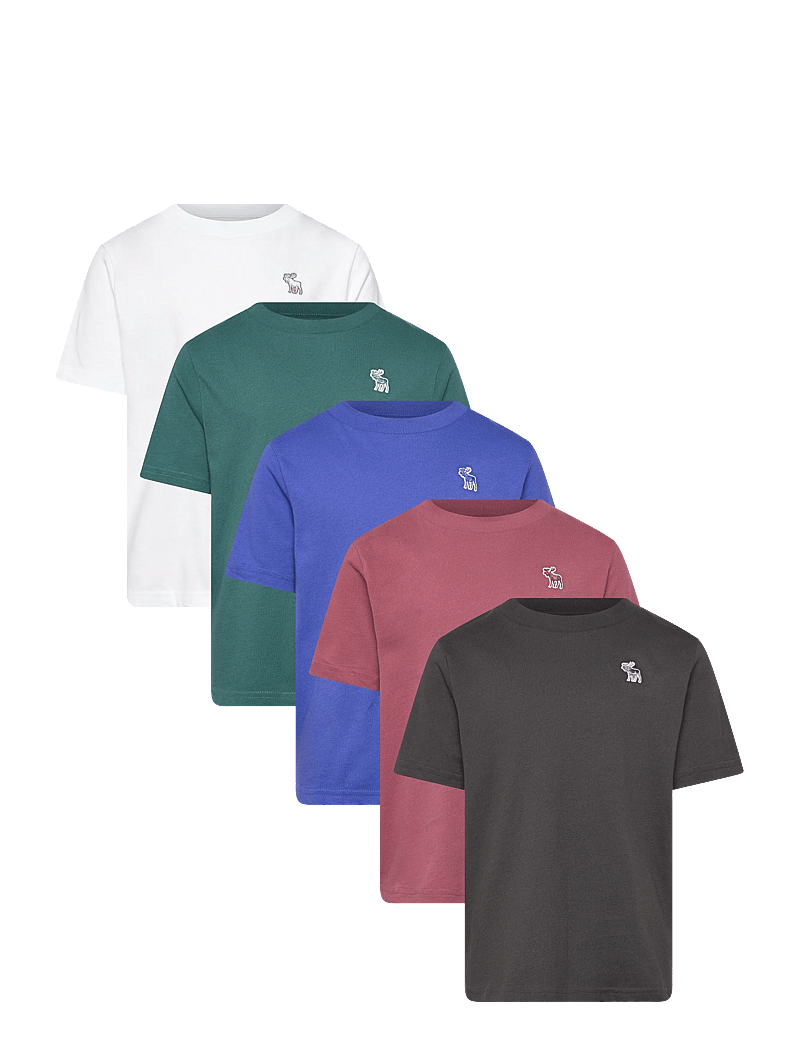 Abercrombie Kids - TY-5PK TEES - kurzärmelige - phantom - 0