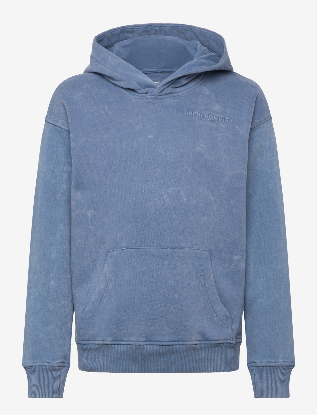 Abercrombie Kids - PO-PULL-OVER HOODY - hættetrøjer - moonlight blue - 0