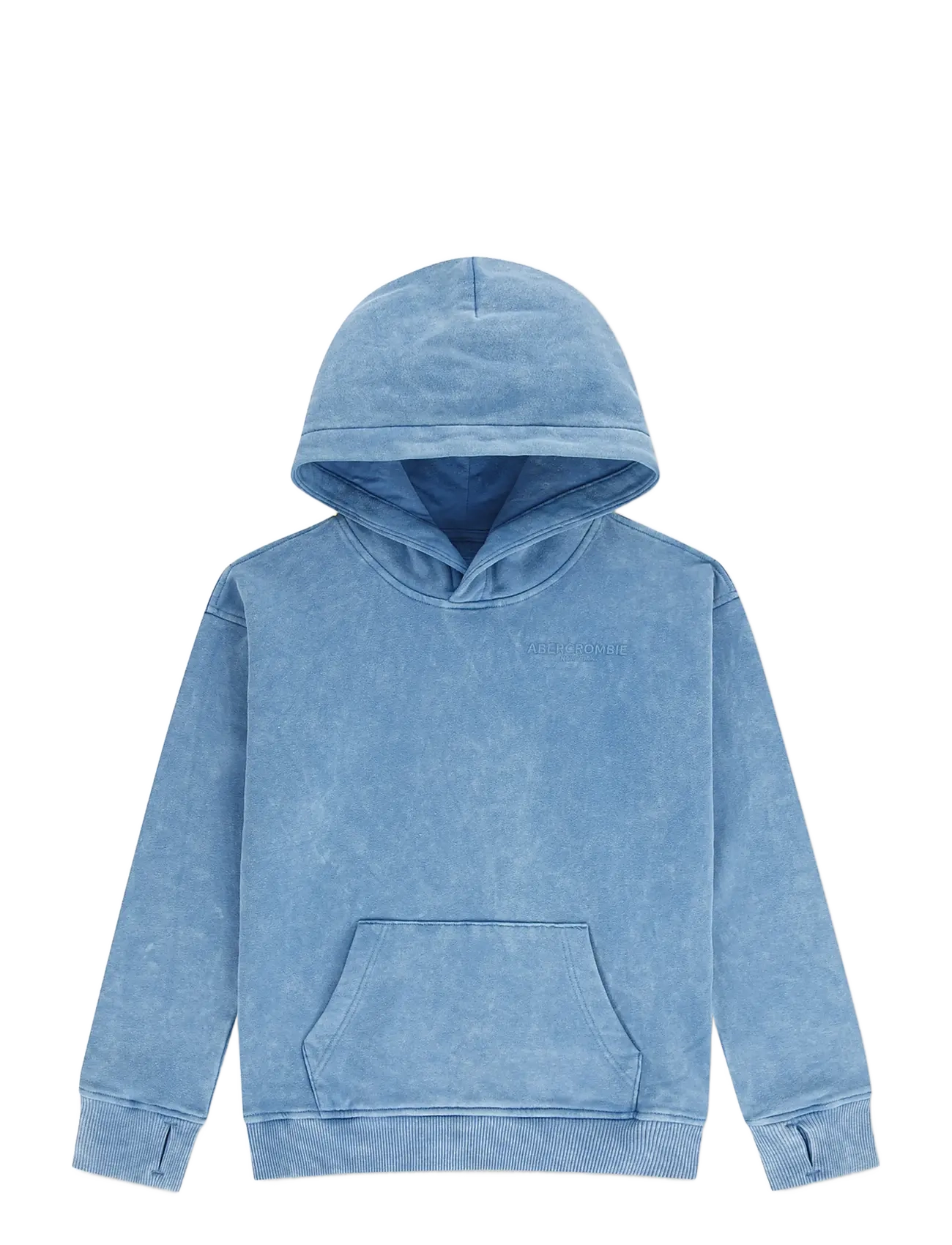 Abercrombie Kids PO-PULL-OVER HOODY - Sweatshirts & Huvtröjor - MOONLIGHT BLUE / blue